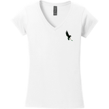 Wilmington Nighthawks Softstyle Ladies Fit V-Neck T-Shirt